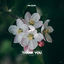 Cover Thank You