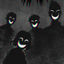 Cover My Eyes x You've Never Backed Down