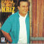 Cover Kriz