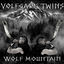Cover Wolf Mountain