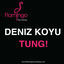 Cover Tung!