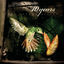 Cover The Autumn Effect