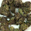 Cover Alien Cookie