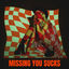 Cover Missing You Sucks