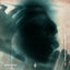 Cover The Man Who Drank The Universe Remixed