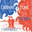 Cover Liminal Zone (Lyndhurst Remix)