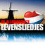 Cover De Allermooiste Levensliedjes