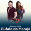 Cover Búfalo do Marajó
