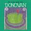 Cover The Hurdy Gurdy Man
