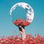 Cover Fiore Sulla Luna