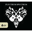 Cover Plectrum Spectrum