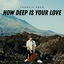 Cover How Deep Is Your Love
