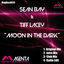 Cover Moon in the Dark