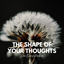 Cover The Shape of Your Thoughts