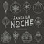 Cover Santa la noche