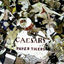 Cover Paper Tigers