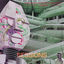 Cover I Robot (Sessions)