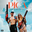 Cover PICA