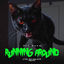 Cover Running Around (Control Alt Delete Remix)