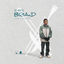 Cover The Book of BRIAnD