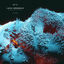 Cover Cosmorph