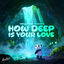 Cover How Deep Is Your Love