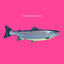 Cover Fisch EP