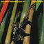 Cover Reed Seed