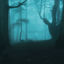 Cover Silhouette