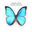 Cover Papillon - Remixes
