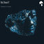 Cover Black Shaman