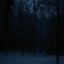 Cover dark snowy night