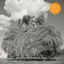Cover Field Songs (Deluxe Edition)