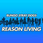 Cover Reason Living (From "Bungo Stray Dogs")