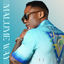 Cover Malume Way