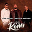 Cover Mi Romi