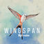 Cover My Realm (Wingspan Original Video Game Soundtrack)
