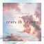 Cover Tears in Heaven