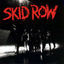 Cover Skid Row