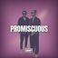 Cover Promiscuous (Afro Edit)