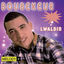 Cover Lwaldin