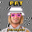 Cover PAT The Album