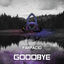 Cover Goodbye Apparat (Farfacid remix)