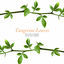 Cover Tangerine Leaves