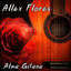 Cover Alma Gitana
