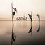 Cover Dejarte De Amar