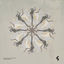 Cover Dragonfly