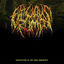 Cover Perceptions of the Dark Ornaments