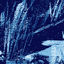 Cover OÙ ALLER
