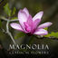 Cover "Magnolia": Classical Flowers